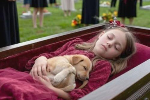 Похороны остановились в тот самый миг, когда щенок коснулся её лица. А что было дальше… никто так и не смог объяснить.