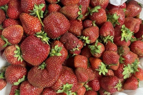Ядовитая клубника на рынках — эксперты бьют тревогу