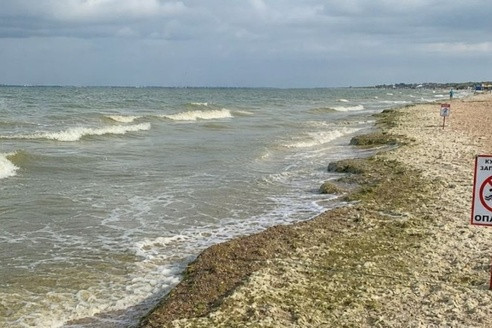 Черное море стало ядовитым: врачи бьют тревогу из-за воды