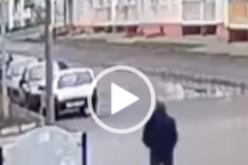 Ворона с претензией: в Нижнекамске на молодого человека накинулась...