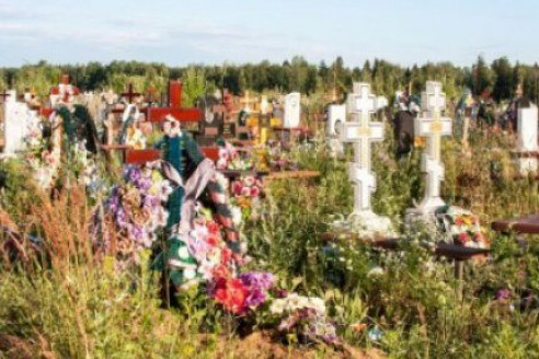 Эти цветы нельзя нести на кладбище: быть большой беде