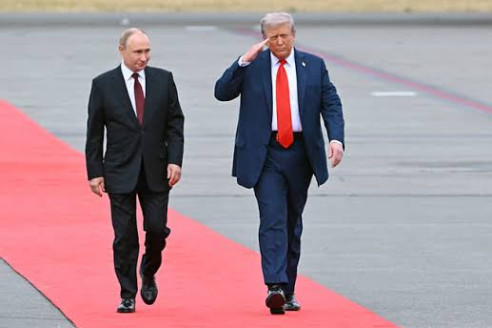 Путин, Трамп и Зеленский за одним столом? Стало известно о предложении
