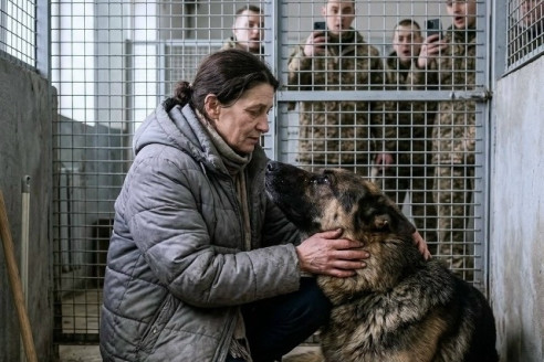Шквал и тень