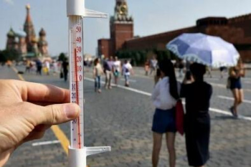 "Лето в России будет сумасшедшим". Синоптики составили новый прогноз на лето этого года