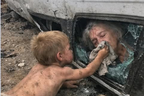 Будь незаметным. Молчи. Не показывайся возле дороги.