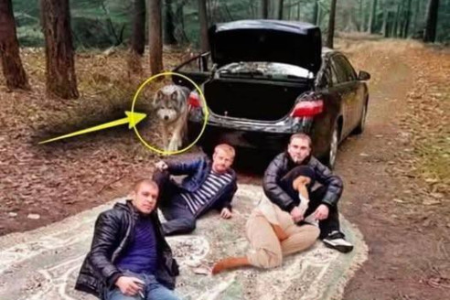Парни затащили беременную женщину в лес, пытаясь сделать что-то ужасное! Он услышал женский плач — и с этого всё началось…