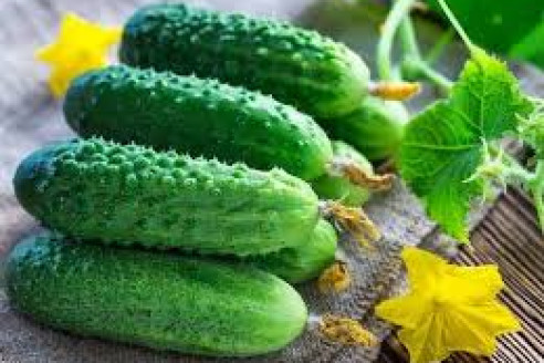 Что нельзя есть с огурцами: смертельное сочетание для желудка