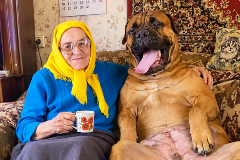Я сфотографировала бабушку с ее собакой, а через 12 минут она побледнела и прошептала: «Если он снова залает под диваном, немедленно выбегай из дома…»