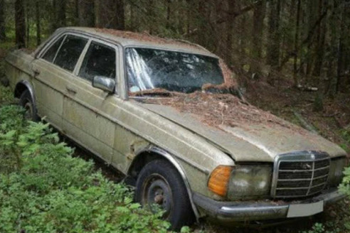 Угнанный автомобиль из 90-х нашли в лесу. Находка шокировала очевидцев
