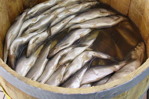 Назван важнейший продукт для тех, кто переболел Covid
