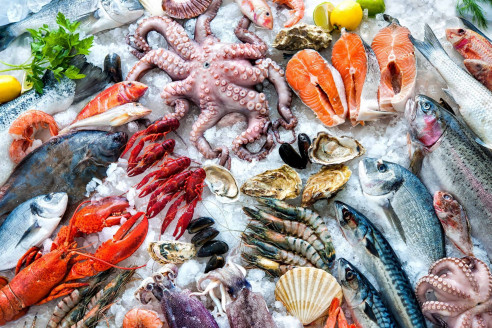 Ученые из Стэнфорда выяснили, употребление какого морепродукта обращает вспять старение мозга