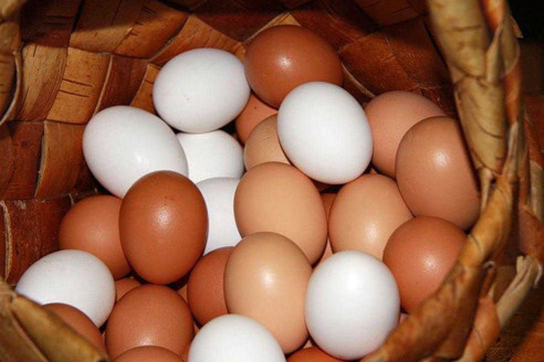 Чем отличаются коричневые яйца от белых
